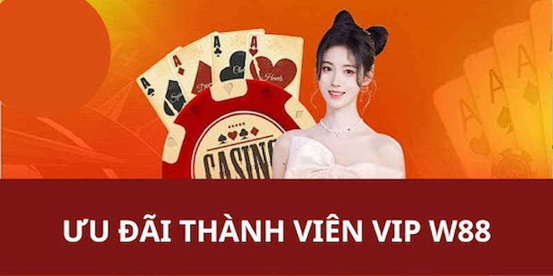 Một số chương trình ưu đãi khác dành cho thành viên W88