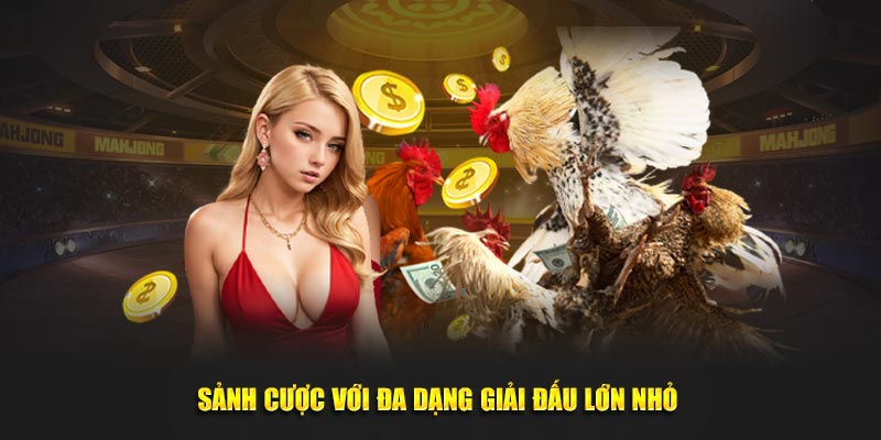 Sảnh cược với đa dạng giải đấu lớn nhỏ 